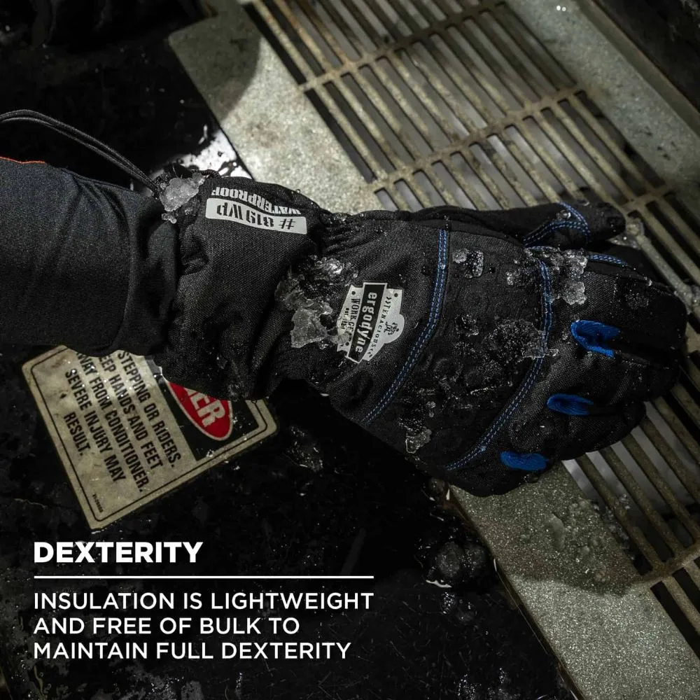 Ergodyne 17612 #819WP S Black Extreme Thermal WP Gloves